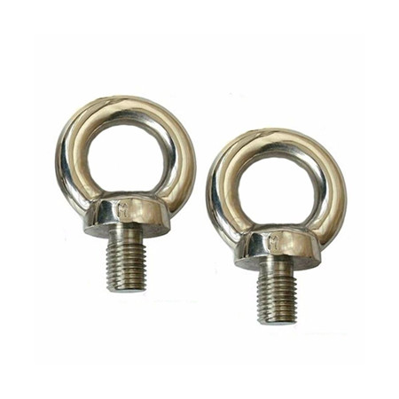 DIN603 Ss304 Mushroom Head Square Neck M8 Carcount Bolt M10 Stainless Steel SS 304